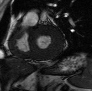 2007 03 05 00 15 14 706