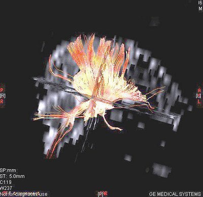 2007 04 17 14 05 23 706