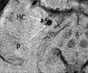 2007 04 17 14 05 37 706