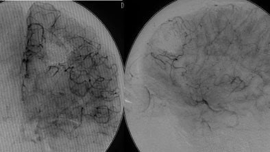 2007 04 24 13 35 37 706