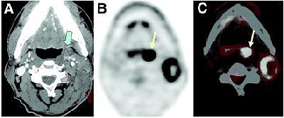 2007 04 25 15 03 13 706