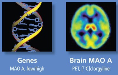 2007 06 04 14 33 39 706