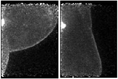 2007 06 05 14 26 24 706