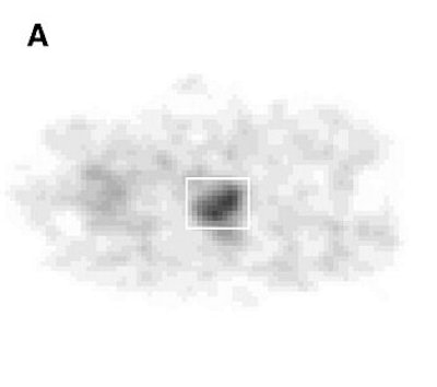 2007 06 06 14 50 28 706