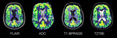 2007 06 11 15 43 10 706