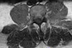 2007 06 15 14 06 05 706