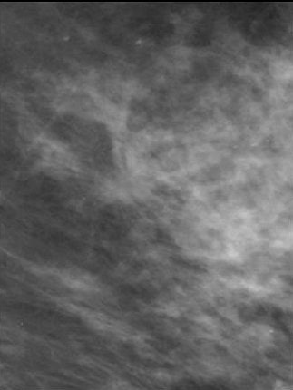 2007 06 20 16 07 33 706