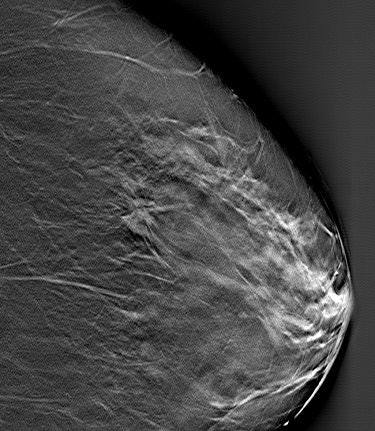 2007 06 20 16 26 44 706