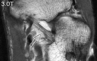 2007 06 27 10 40 11 706