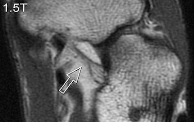 2007 06 27 10 40 35 706