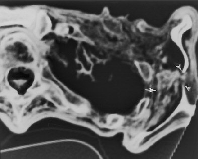 2007 07 03 15 49 51 706