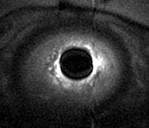 2007 07 20 14 45 41 706