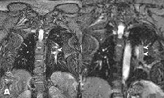 2007 07 25 14 40 40 706