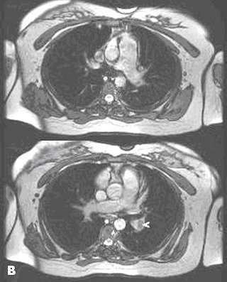 2007 07 25 14 40 52 706