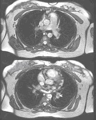 2007 07 25 14 41 07 706