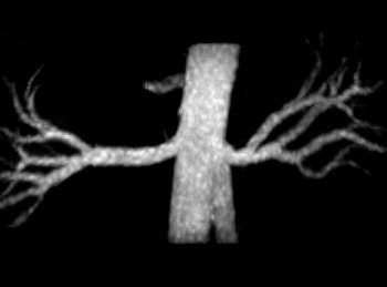 2007 07 25 14 42 13 706