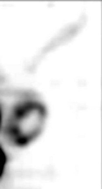 2007 07 30 14 49 56 706