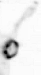 2007 07 30 14 53 58 706