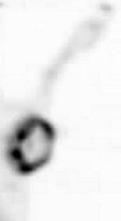 2007 07 30 14 53 58 706