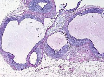 2007 08 15 13 09 43 706