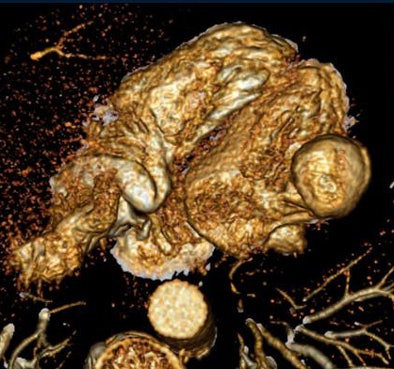 2007 08 22 10 20 26 706