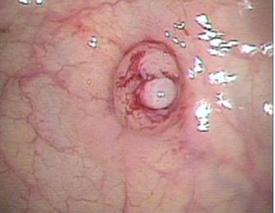 2007 08 27 14 08 20 706