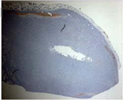 2007 09 13 09 20 50 706