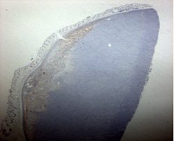 2007 09 13 09 24 14 706