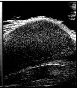 2007 09 13 09 26 11 706