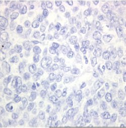 2007 09 13 09 26 26 706