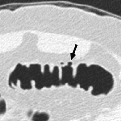 2007 09 19 14 37 15 706