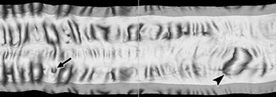 2007 09 19 14 37 46 706