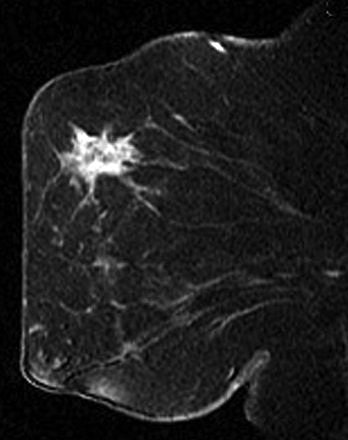 2007 09 24 14 54 17 706