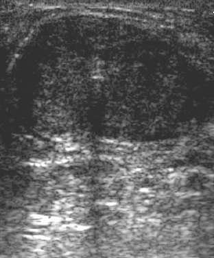 2007 10 21 22 59 48 706