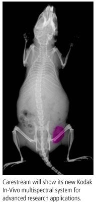 2007 10 22 15 19 46 706