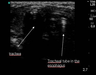 2007 10 24 07 52 26 706