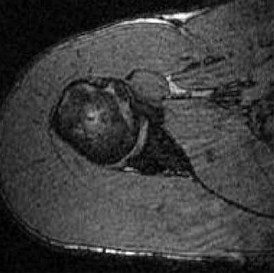 2007 11 07 13 52 19 706