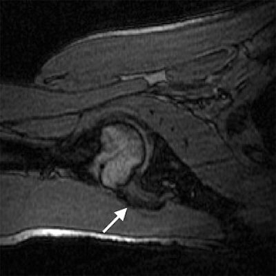 2007 11 07 13 54 07 706