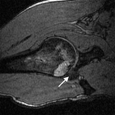 2007 11 07 13 55 12 706