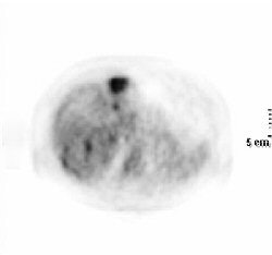 2007 11 21 16 04 32 706