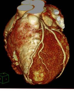 2007 11 26 22 29 53 706