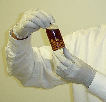 2007 12 06 17 04 00 706