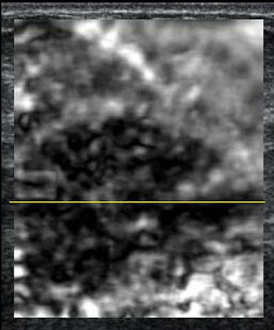 2007 12 10 11 01 56 706