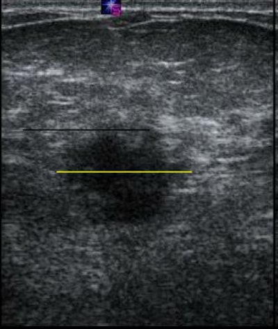 2007 12 10 11 03 54 706