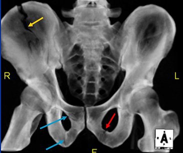 2007 12 12 16 21 39 706