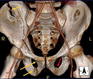 2007 12 12 16 21 58 706