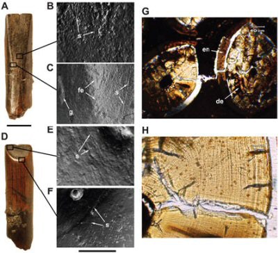 2007 12 18 14 45 43 706