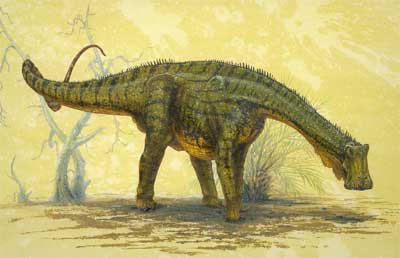 2007 12 18 14 48 23 706