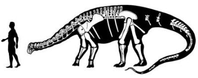 2007 12 18 14 48 51 706