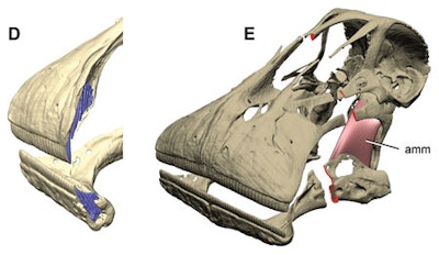 2007 12 18 14 49 15 706